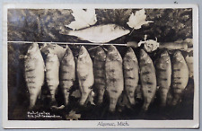Algonac Michigan Jumbo Perch 1946 Real Photo Fishing Catch Postcard RPPC 2193 picture