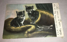 Vtg Postcard Black White Kitten Kittens picture