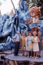 #J90- t Vintage 35mm Slide Photo- People in Hong Kong- Tiger Statue -  1970 picture