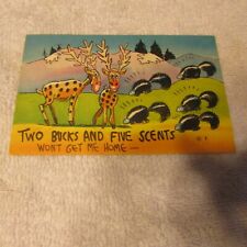 vintage 1956 comic type postcard Two Bucks and Five Scents picture