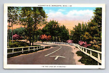 Dead Mans Curve Negaunee Rd County Road CR 492 41 Marquette Michigan MI Postcard picture