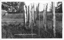Fishing Silver Lake Beauties Traverse City Michigan 1952 Postcard 20-9648 picture