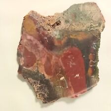 OREGON BLUE MOUNTAIN JASPER AGATE LAPIDARY  UNPOLISHED SLAB 457 GRAMS 7x8x.3in. picture