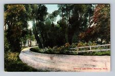Hanover MI-Michigan, Bibbins Lake Drive, Scenic View, Antique, Vintage Postcard picture