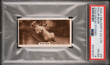 1929 J. Millhoff & Co. Ltd. Zoological Studies #9 Polar Bear PSA 4 Pop 1 0 Hghr picture
