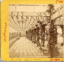 NEW YORK, Central Park, The Vine Clad Arbor--Anthony Stereoview A55 picture