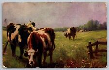 Cattle Grazing in Pasture 1924 Postcard  picture