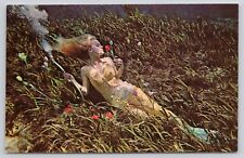 Weeki Wachee Mermaid Smelling Rose Sunbathing Gold Swimsuit Florida FL Postcard picture