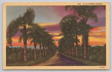 A California Sunset Palm Tree Lined Road Vintage Linen Postcard picture