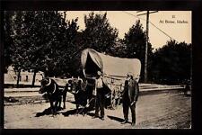 c1908 photo Ezra Meeker in Boise Idaho oxen Oregon trail western postcard picture