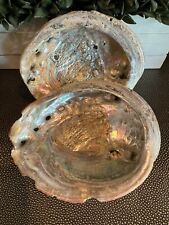 Pair 2 Large Abalone Sea Shell Set Of Two Colorful Mother Of Pearl Great Color picture