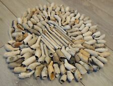 Antique most 1600s -1700s   clay   pipes  . Found river Thames   picture