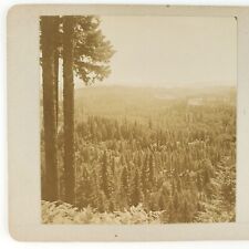 Unknown Mystery Mountain Ridge Stereoview c1870 Forest Trees Antique Photo A2218 picture
