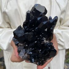 1.6lb Large Natural Black Smoky Quartz Crystal Cluster Rough Mineral Specimen picture