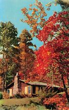Asheville NC North Carolina Blue Ridge Mountain Rustic Log Cabin Vtg Postcard V7 picture