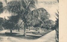 PALM BEACH FL - Vista On Lake Front Rotograph Postcard - udb (pre 1908) picture