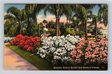 Beautiful Azalea Garden & Palms In Florida, Antique, Vintage Postcard picture