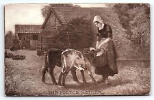 c1910 THE FOSTER MOTHER LADY FEEDING CALF M.T. SHEAHAN EARLY POSTCARD P3672 picture
