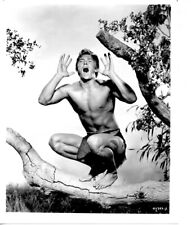 Denny Miller Tarzan 8x10 photo #A8690 picture