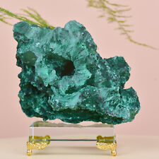 2.64LB Natural Malachite coarse cluster rough mineral sample healing gem picture