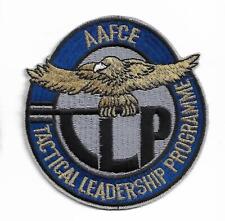 RAF AAFCE GOLD TLP patch ROYAL AIR FORCE TACTICAL LEADERSHIP PROGRAMME picture