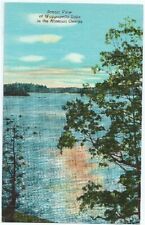Greenville Mo Missouri Ozarks Wappapello Lake Vintage Postcard Missouri Chrome  picture
