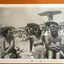 VINTAGE PHOTO 1957 Beautiful Leggy, Gorgeous Women, Hairy Man, Sexy Beach Girls picture