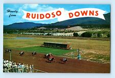 Horse Race Ruidoso Downs New Mexico Racing Track View  Postcard C2 picture