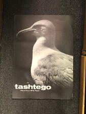 TASHTEGO Martha’s Vineyard Shop ART POSTER Bird Photograph MASSACHUSETTS picture