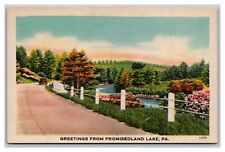 Greentown, PA Pennsylvania, Greetings From Promised Land Lake, Linen Postcard  picture