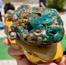 1.61LB Amazing natural marine jasper crystal carving Toad jasper aura stone picture