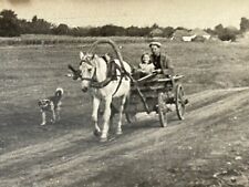 1950s Ukrainian Village Horse Cart Man Cart Cart Man Carrying Child VINTAG PHOTO picture