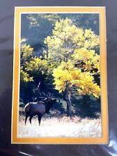 Original Les Voorhis Signed Photograph of Colorado Elk at Echo Lake picture