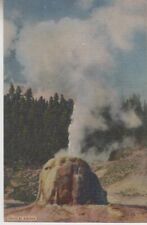 Lone Star Geyser. Grand Loop Highway. YELLOWSTONE NATIONAL PARK # 1265 Vintage picture