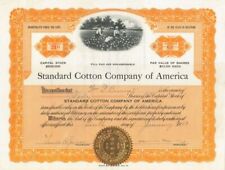 Standard Cotton Company of America. - Stock Certificate - Agricultural Stocks &  picture