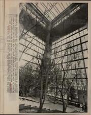 1967 Press Photo Plants enclosed in Ford Foundation building in New York picture