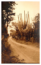 postcard dirt road Sunny Isle Curacao RPPC 9210 picture