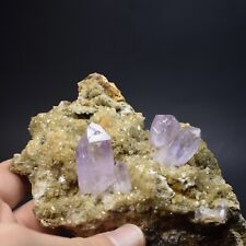 EXCEPTIONAL Amethyst Crystal Cluster (Veracruz, Mexico) -  #334 picture