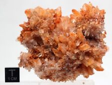 CREEDITE Crystal Cluster Mineral Specimen Durango Mexico CLOSED MINE picture