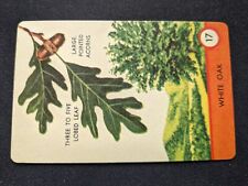 1962 Ed-U-Cards Tree Spotter Game Card  # 17 White Oak (NM) picture
