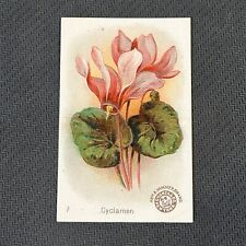 J16 1898 Arm and Hammer Beautiful Flowers Singles Baking Soda Card New Series picture