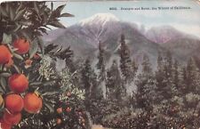 CA California Anomaly Oranges and Snow in Winter Postcard E06 picture
