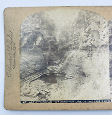 Antique Stereoview Watkins Glen NY On Erie Railway Women State Park picture