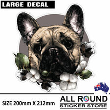 Cute French Bulldog sticker for car, with flowers large sticker for dog lover picture