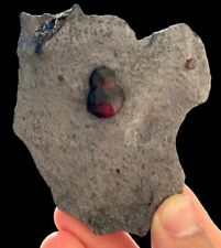 Garnet Crystals In Graphite Xls: Red Embers Mine. Erving, Massachusetts 🇺🇸 picture