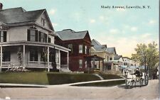 Postcard Shady Avenue Lowville NY Street View 1910  *1 picture