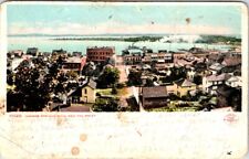 1909, Town View, HARBOR SPRINGS, Michigan Postcard - Detroit Publishing picture