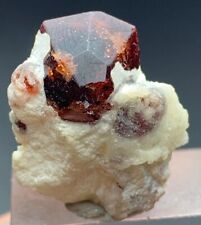 Terminated Red Garnet  crystal Specimen from Pakistan 34 CT picture
