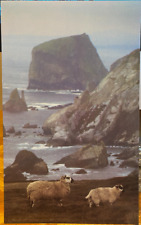 OVERSIZE Irish PC Coast Ardara to Glencolumbkille DONEGAL Sheep Insight P Zoller picture