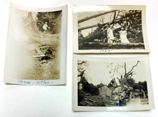April 1929 Antique SMALL REAL PHOTOGRAPHS - STORM AFTERMATH Damaged Fallen Trees picture